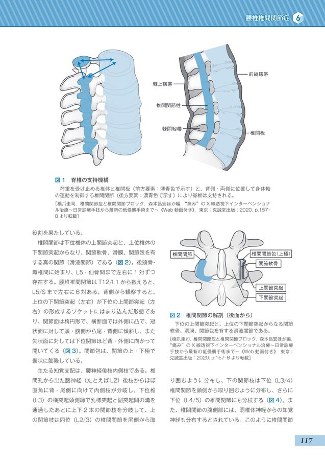 腰痛・腰下肢痛診療のキーポイント