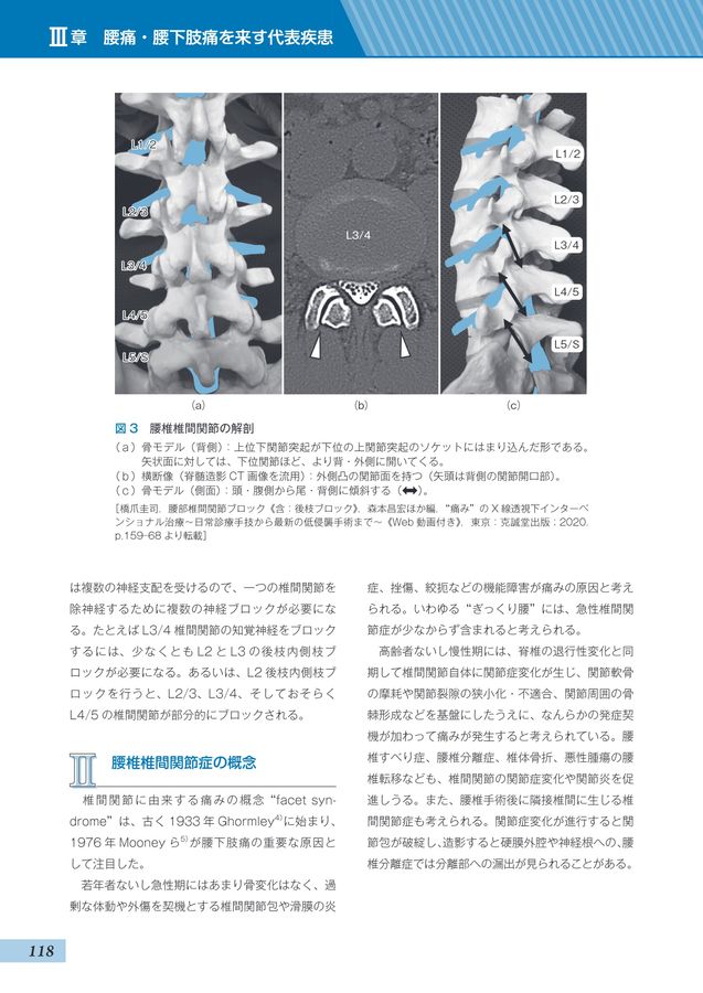 腰痛・腰下肢痛診療のキーポイント